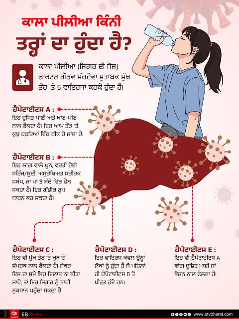 ਵਿਸ਼ਵ ਕਾਲਾ ਪੀਲੀਆ ਦਿਵਸ, 'ਕਾਲਾ ਪੀਲੀਆ' ਵੰਡਦਾ ਬੁੱਢਾ ਨਾਲਾ ? ਨੌਜਵਾਨਾਂ ਦੇ ਨਹੀਂ ਹੋ  ਰਹੇ ਵਿਆਹ ? ਲੋਕ ਡਾਢੇ ਪਰੇਸ਼ਾਨ