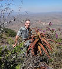 Image result for Aloe ribauensis