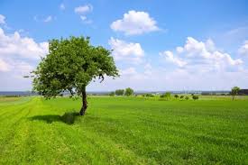 What Is A Plain Landform Wlandforms Plain Landform Projects Landforms Beautiful Nature Wallpaper