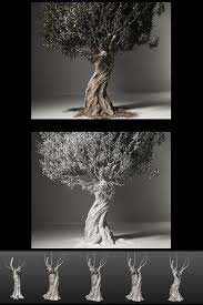 For Today S Artistspotlight We Re Taking In Diego Gimeno S Lovingly Sculpted Olive Tree Trunk Made Using Speedtree 3dsmax Olive Tree Tree Trunk Tree