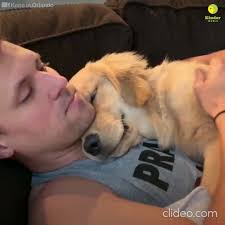 Barry Dotson (@dotsonb9)