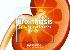 Pin On Nursing Care Plans