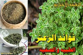 جميع فوائد الزعتر الغذائية والصحية العالم كله لك Whole World For You