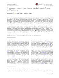 Image result for Barleria megalosiphon