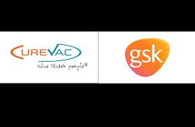 As the screenshot has an opaque white background, we set the color to. Curevac And Gsk Announce Promising Preclinical Data For Next Gen Covid 19 Vaccine Drug Discovery And Development