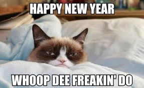 Pin By New Year Stuff On New Year Memes Funny Grumpy Cat Memes Grumpy Cat Meme Grumpy Cat Humor