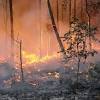Local emergency services said as many as 45 people were injured. 1