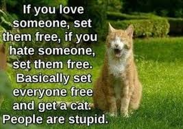 Set Them Free Funny Cats Funny Cat Memes Cats