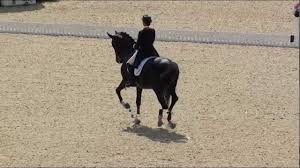 Теодора элизабет герарда «анки» ван грюнсвен (нидерл. Anky Van Grunsven And Salinero Kur London Olympics 2012 Youtube