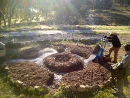 Designing A Microforest Garden Milkwood Permaculture Farming And Living Permaculture Gardening Permaculture Forest Garden