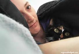 If you see your cat napping on its side then it is in a deep sleep and should not be disturbed. Cat Confessions I Like To Sleep Under The Blankets With My Human Pawsitively Pets