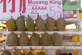 Berbeda dengan durian lokal durian musang king mulai dikenal sejak tahun 2011. Ke Kuala Lumpur Ini 5 Alasan Kamu Wajib Coba Durian Musang King