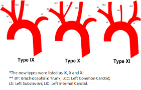 Anatomic Variations Of The Branches Of The Aortic Arch In A Peruvian Population Medwave