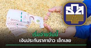 วันที่ 9 ธันวาคม 2564 ผู้สื่อข่าวรายงานว่า ธนาคารเพื่อการเกษตรและสหกรณ์การเกษตร (ธ.ก.ส.) ได้โอนเงินช่วยเหลือเกษตรกรตามโครงการประกันรายได้เกษตรกร . Sfksajcugnxxum