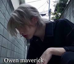 TADIR_CINTA #PART01 [pertemuan] akhirnya Amara mengangguk kecil sebagai  isyarat dia bersedia mengantikan Amira untuk menikah dengan keluarga  Alexander ya tentu tanpa persetujuan Anggara