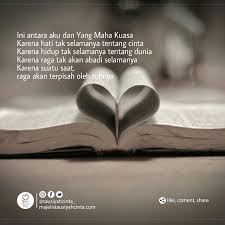 Menurut laman petmd, kucing betina memiliki kecenderungan yang lebih besar untuk membawakan majikannya hadiah.apalagi mereka yang mandul atau tidak memiliki anak. Pin Oleh V1e Di Ilmu Nasehat Motivasi Bijak Kata Kata Hidup