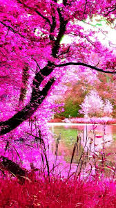 We did not find results for: Beautiful Pink Nature Iphone Wallpaper Resolution Pink Nature 1080x1920 Wallpaper Teahub Io