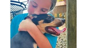 Defensive Player of the Week is quarterbacking the defense