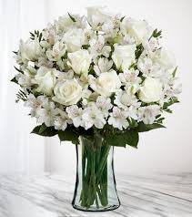 Joseph Ruey Edelen Jr. Obituary November 28, 2024