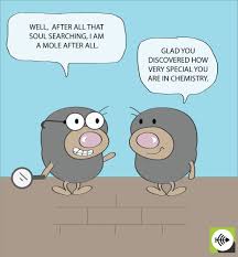 The quizizz editor is the most awesome quiz editor in the world! What Is The Mole Used For Quizizz