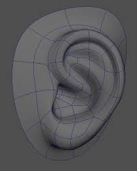 3d Basic Ear Model Topology Face Topology 3d Modeling Tutorial