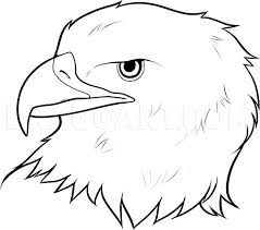 How To Draw An Eagle Head Step By Step Drawing Guide By Dawn Dragoart Com