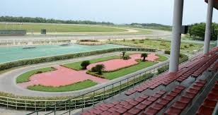 Resultado de imagen para carreras de caballos