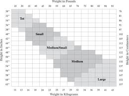 sizing charts happyfeetdsp logodancewear com