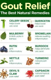 Suffering From Gout Try The Best Natural Remedies Gout Remedies Natural Remedies For Arthritis Natural Remedies For Gout