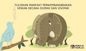 4 Manfaat Perkembangbiakan Hewan Secara Ovipar Dan Vivipar Penulis Cilik Hewan Tulisan Sekolah