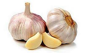 Ubat ini berfungsi dengan cara merencatkan kebolehan sel darah putih untuk menyelaputi kristal urate. Adakah Mungkin Untuk Makan Bawang Putih Dengan Gout Termasuk Pada Kaki Apabila Ia Dibenarkan Makan Dan Apabila Ia Tidak Berbaloi Serta Kaedah Penggunaan Dan Resipi Untuk Rawatan Taman Sayuran
