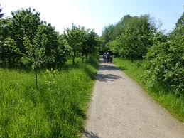 Wir laden euch herzlich ein unsere angebote wahrzunehmen und euch zu beteiligen. Finkens Garten Videos Facebook