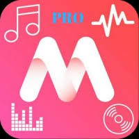 Mp3 Music Lyrics Player Offline Pro 1 2 2 Apk Paid Latest Download Android