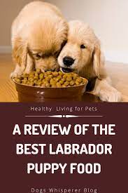 A Puppy Food Review Best Puppy Food Puppy Food Reviews Puppy Food