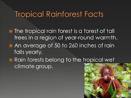 That's a lot of moisture! Tropical Rainforest Biome Ppt Video Online Download