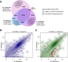 Liver flukes are an important cause of acute and chronic disease in grazing sheep and cattle. New Insights From Opisthorchis Felineus Genome Update On Genomics Of The Epidemiologically Important Liver Flukes Bmc Genomics Full Text