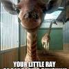 Highest rated) finding gifs newest highest rated most viewed. 3