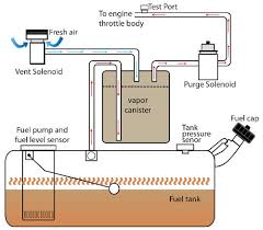 And whereabouts is it located? P0446 Diagnostic Code Trouble Code Diagnosis Guide Toyota Parts Center