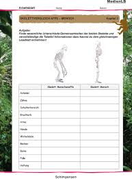 Medienlb Schimpansen Menschenaffen Im Regenwald Bald Erscheint Der Passende Schulfilm Mit Filmmaterial Aus Dem Kinofilm Pdf Free Download