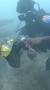 Video for Sun Diving Sri Lanka ( PADI 5-Star Dive Resort S-25804)