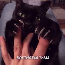 pin auf tury