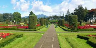 Wisata taman bunga nusantara tidak ini jauh dari gunung gede, disini kalian dapat menikmati pemandangan sekitar gunung dengan pengen pre wedding di taman bunga nusantara? Taman Bunga Nusantara Destinasi Warna Warni Suasana Puncak Foto Review