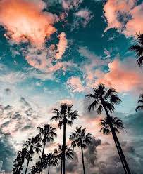 ภาพชวนฟ งฝ น รวมร ป nature photography beautiful nature scenery