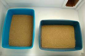 Rutubet nedir, neden olur, nasıl önlenir ve kokusu nasıl giderilir? Evdeki Rutubeti Engellemenin 8 Dogal Ve Kolay Yolu Yemek Com