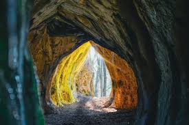 Mystical Cave Entrance with Sunlit Pathway · Free Stock Photo