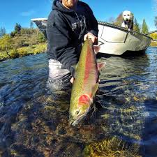 See This Instagram Photo By Oregon Tarheel 49 Likes Fly Fishing Accessories Steelhead Fishing Fish