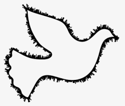 Easy step by step tutorial on how to draw a dove, pause the video at every step to follow the steps carefully. Peace Dove Clipart Color Dove Easy To Draw Hd Png Download Transparent Png Image Pngitem