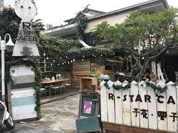波寶寵物聯萌 台中寵物旅館 餐廳系列報導 r star coffee 貓餐廳 star coffee table decorations decor