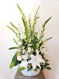 We did not find results for: Funeral Basket In Palm Desert Ca Lotus Garden Center