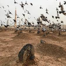 ليت شعري فإنني لست أدري أي يوم يكون آخر عمري وبأي البلاد تقبض روحي وبأي البلاد يحفر قبري